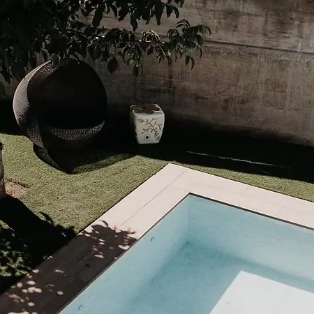 Our Douro Vintage Design Jacuzzi&pool Flat * Cinfaes